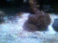 20140412_135804.jpg