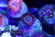 IMG_6928.JPG