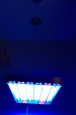 IMG_9367.jpg