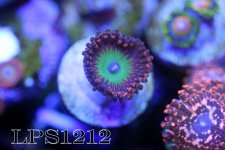 IMG_6872.JPG