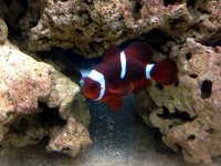IMG_3136.JPG