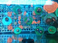 20140912_232032.jpg