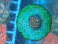 20140912_233024.jpg