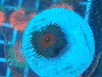 20140912_233029 (1).jpg