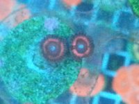 20140912_233058.jpg