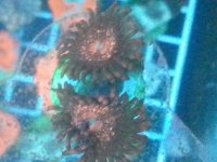 20140912_233052.jpg