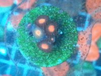 20140912_233045.jpg