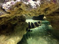 IMG_2826.JPG