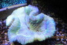 IMG_1932.jpg