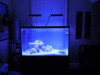 New Tank Pics 030.JPG