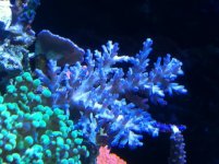 IMG_0954.jpg