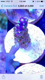 ImageUploadedByReefs2014-03-27 09:47:41 EDT.jpg