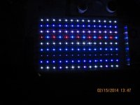 IMG_0255.jpg