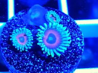 20140414_222323.jpg