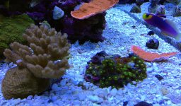 IMG_6804.JPG