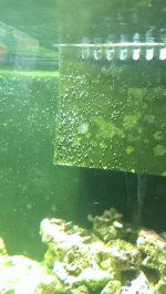 IMAG0454.jpg