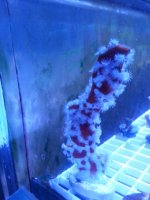 20140911_040251.jpg