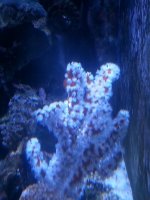 20140914_222220.jpg