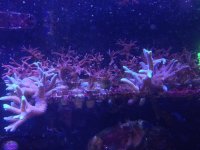 photo(9).jpg