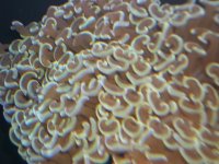 100_1356.JPG