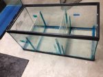 40 breeder sump.jpg