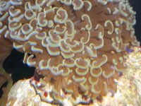 100_1358.JPG
