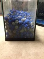 bioballs 2.jpg