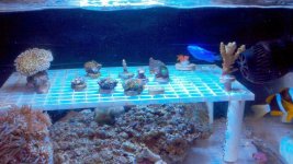 2011-07-05_08-53-26_967.jpg