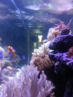 20140913_183626.jpg