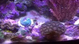 WP_20140916_011.jpg