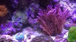 WP_20140916_015.jpg