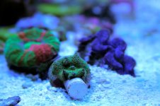 IMG_9305.jpg