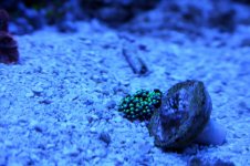 IMG_9260.jpg