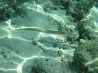IMG_0127.jpg