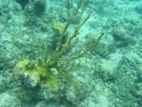 IMG_0050.jpg
