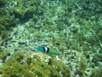 IMG_0042.jpg