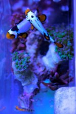 IMG_9416.jpg