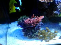 IMG_20140323_111939_930.jpg