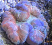 IMG_2209.jpg