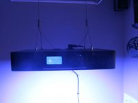 IMG_1870.jpg