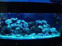 IMG_1966.jpg