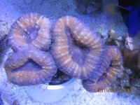 IMG_0172.jpg