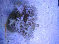 IMG_0174.jpg