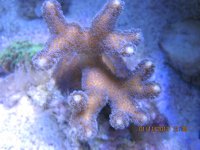 IMG_0177.jpg
