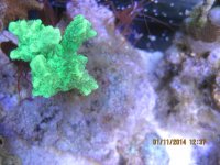 IMG_0176.jpg