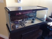 20%20gallon%20long.JPG