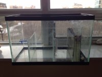 custom%20sump.JPG