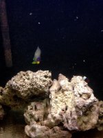 IMG_3586.jpg