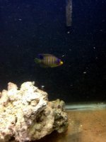 IMG_3587.jpg
