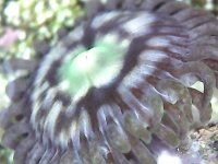 0722-17.jpg